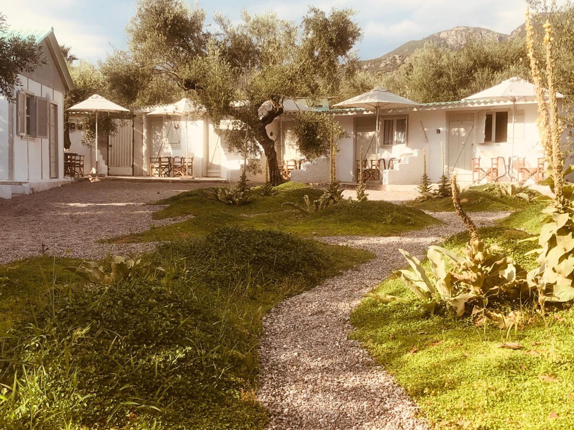 Barreira Beachfront 4 *